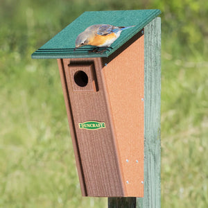 Duncraft Bird-Safe® Peterson Eco Bluebird House with grooved perches and predator guard, shown with a bird perched on top, crafted from recycled plastic.