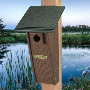 Duncraft Bird-Safe® Peterson Eco Bluebird House on a post with grooved perches, tapered design, and an entry hole with a predator guard.