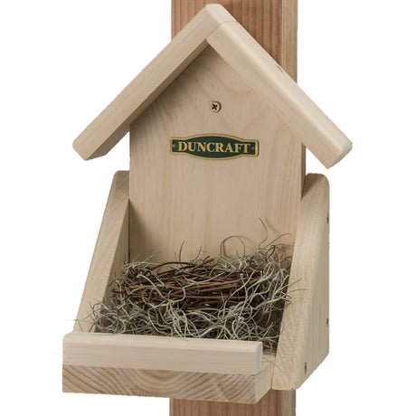 Robin's Roost: A wooden nesting shelf with a nest, designed for robins to build and raise their family, featuring low profile edges for stability.