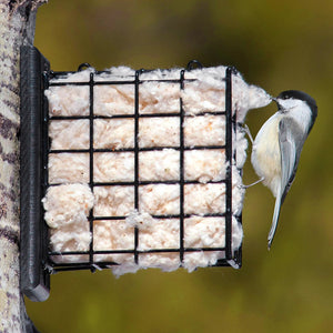 Duncraft Tree Mount Suet Feeder & Nest Builder with a bird perched on the feeder. The all-metal cage includes an attached black recycled plastic mounting plate.