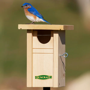 Duncraft Gilwood Bluebird Nest Box Bird House & Pole featuring a bluebird perched on its wooden structure with an oval entry hole and rain guards.