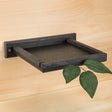 Robin's Roost Nesting Platform with decorative leaves, black recycled plastic shelf, and low-profile edges for secure nesting. Ideal for robins, easy to install.