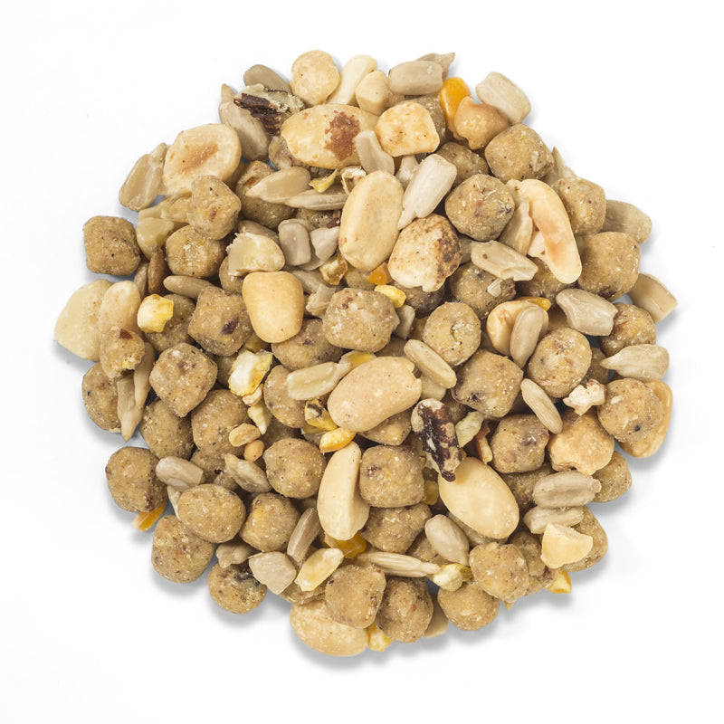 Duncraft Bluebird Nut Feast Wild Bird Food, 16 oz bag showing a mix of shelled peanuts, sunflower hearts, cracked corn, and walnut pieces.