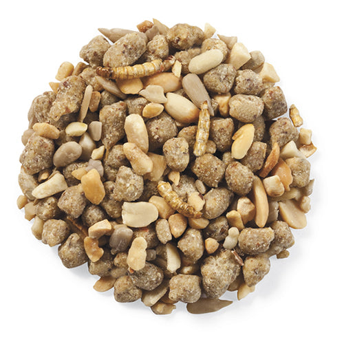 Duncraft Extreme Mealworm Feast Wild Bird Food: A mix of dried mealworms, shelled peanuts, and C&S Nuggets in a resealable 16 oz. bag, ideal for insect-eating birds.