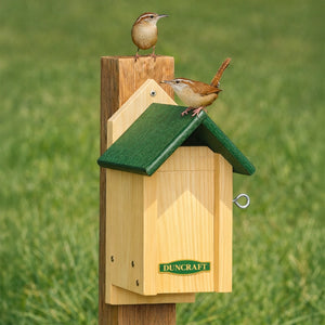 Two birds perched on a wooden birdhouse with a green roof against a grassy background.