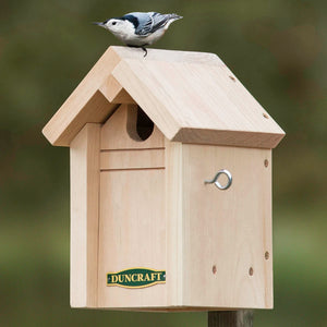 Duncraft Common Bird Pine Nesting House with a bird perched on its roof, featuring an overhanging roof, recessed entrance, and side hook for easy cleaning.