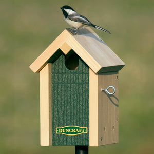 Duncraft Common Bird Nesting House with bird perched on front. Features recessed entrance, grooved perches, and green recycled plastic panel for easy mounting and cleaning.