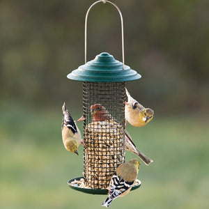 Mini Magnum Sunflower Feeder with birds perched, feeding on black oil sunflower seeds. Steel mesh design and seed tray visible.