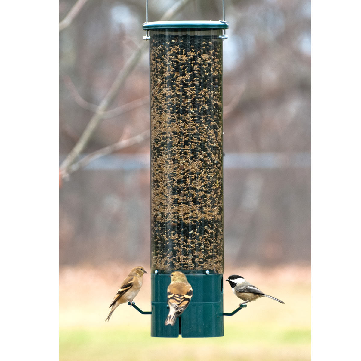 "The Bouncer" Squirrel-Resistant Tube Feeder