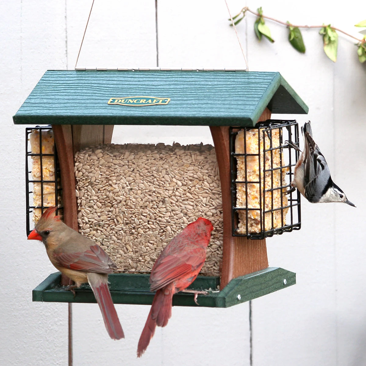 Duncraft Grandview Hopper with Suet Cages featuring birds feeding from multiple sides, includes suet cages, clear panels for seed levels, and cable hanger for easy refilling.