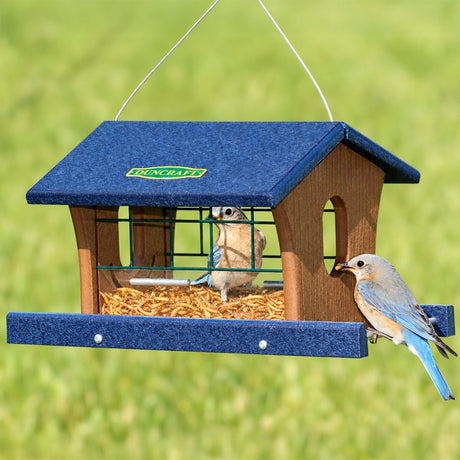 Duncraft Bird-Safe® Extreme Bluebird Feeder with mealworms, features a felt-covered roof, two Eastern bluebirds feeding, and cage-style openings for bird protection.