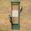 Duncraft Triple Suet Shield Wrap Feeder with birds feeding, featuring a stainless steel mesh and space for three suet cakes to attract woodpeckers and nuthatches.