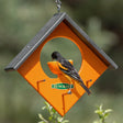 Duncraft Orange Kabob Feeder with a bird eating from the orange skewer, featuring a recycled plastic roof and metal perches for double-sided feeding.