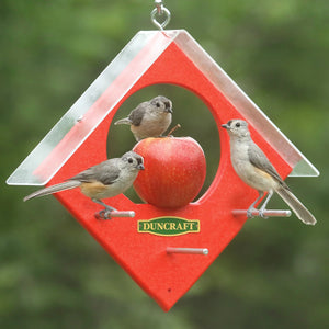 Duncraft Apple Kabob Feeder featuring birds feeding on fruit held by a central skewer, covered by a clear weather guard, with metal perches for easy access.