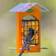 Duncraft Double-Sided Orange Feeder with bird perched, featuring wire caging for orange slices, and a clear roof for weather protection.