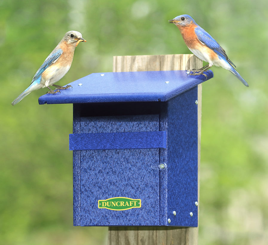 Duncraft Eco-Friendly Bluebird & Tree Swallow House with two birds perched on its blue exterior, featuring a slotted entrance designed to deter House Sparrows.