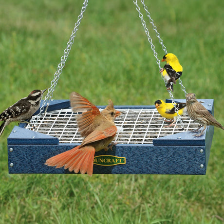 Duncraft Squirrel Resistant Platform Feeder with birds perching and feeding on the two-grid metal barrier designed to restrict squirrels.