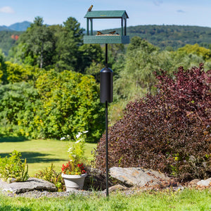 Duncraft Flight Deck Platform Feeder with Pole & Baffle featuring a squirrel-resistant design, large feeding platform, and durable metal baffle for stable bird watching.