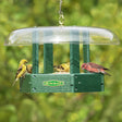 Duncraft Hexagon Gazebo with Clear Roof: Birds perched and feeding on a hanging platform feeder with fly-through openings. Durable green plastic, 16-inch clear roof, holds 3 lbs. of seed.