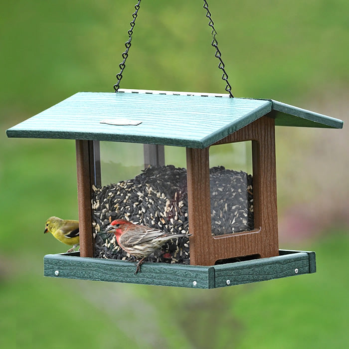 Duncraft 4-Sided Classic Hopper Feeder with bird perched, showcasing its large capacity and four feeding openings.