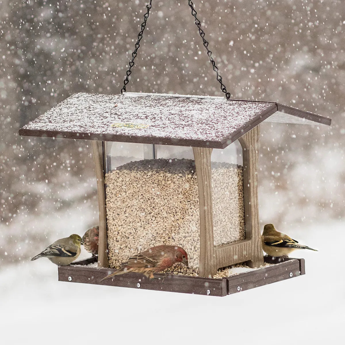 Duncraft 4-Sided Free-Flowing Hopper Feeder with songbirds feeding on the snow-dusted tray, showcasing its 7 lb. seed capacity and clear viewing sides.