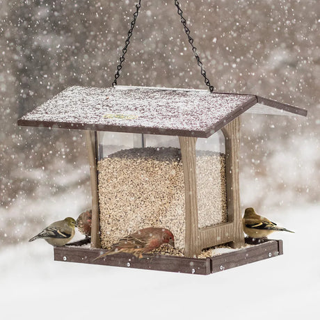Duncraft 4-Sided Free-Flowing Hopper Feeder with songbirds feeding on the snow-dusted tray, showcasing its 7 lb. seed capacity and clear viewing sides.