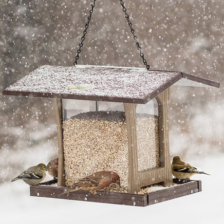 Duncraft 4-Sided Free-Flowing Hopper Feeder with multiple birds feeding, showcasing clearview sides and ample seed capacity, perfect for attracting various birds.