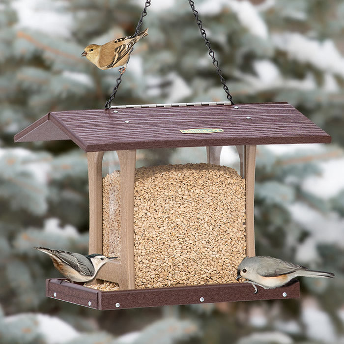 Duncraft 4-Sided Free-Flowing Hopper Feeder with birds feeding on seeds from the bottom tray.