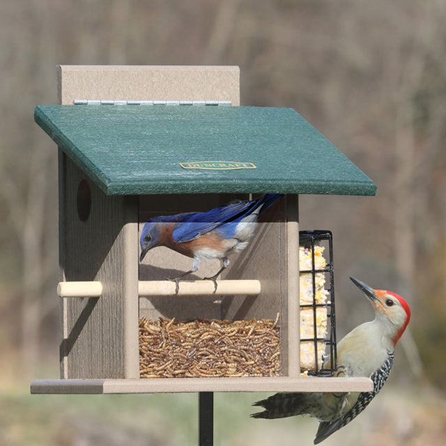 Duncraft Bluebird Step-N-Set Feeder & Pole showing a bluebird and red bird perched, featuring suet cage, clearview panel, and sectional post with foot stake.