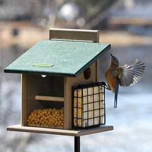 Duncraft Bluebird Step-N-Set Feeder & Pole with a bird flying near the feeder, showcasing suet cage and clearview front panel.