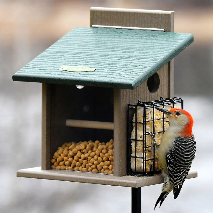 Duncraft Bluebird Step-N-Set Feeder & Pole with suet cage, featuring a woodpecker on the feeder, clearview front panel, and durable recycled plastic design.