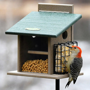 Duncraft Bluebird Step-N-Set Feeder & Pole with suet cage, featuring a woodpecker on the feeder, clearview front panel, and durable recycled plastic design.