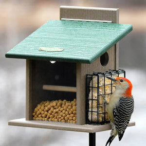 Duncraft Bluebird Step-N-Set Feeder & Pole: Wooden feeder with suet cage, red-bellied woodpecker feeding, includes post for stability.