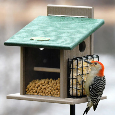 Duncraft Bluebird Step-N-Set Feeder & Pole: Wooden feeder with suet cage, red-bellied woodpecker feeding, includes post for stability.