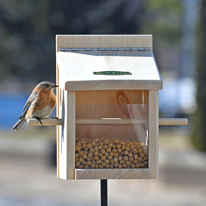 Duncraft Bluebird Move-A-Round Feeder & Pole featuring a bird perched on the feeder with a built-in perch and clearview plastic panel.