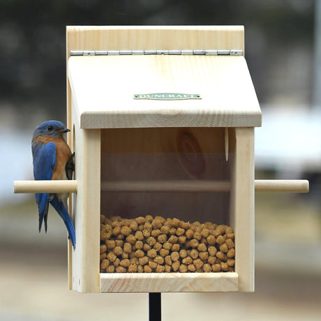 Duncraft Bluebird Move-A-Round Feeder & Pole with a bluebird perched, featuring clearview front panel, hinged roof, and built-in perch.