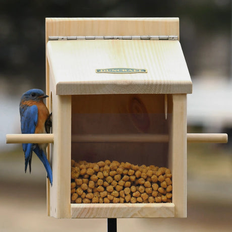 Duncraft Bluebird Move-A-Round Feeder & Pole with clear front, bluebird perched. Features perch, ventilation, and drainage; easy to refill and clean.