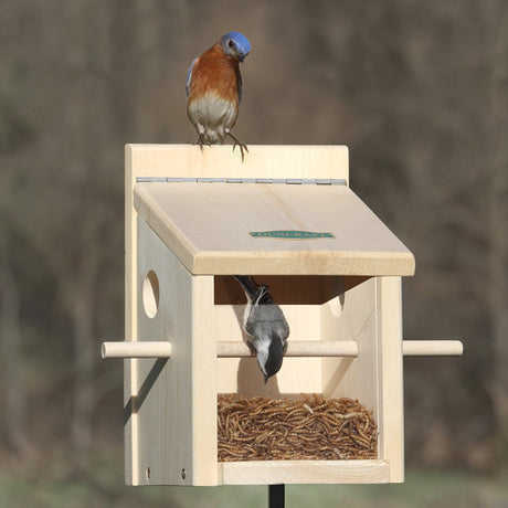 Duncraft Bluebird Move-A-Round Feeder & Pole featuring a bird on a birdhouse with built-in perch, clearview panel, and sectional post for easy placement.