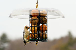 Duncraft Deluxe Seed & Suet Ball Feeder with three caged tubes, tail prop areas, and a 16-inch weather dome, attracting woodpeckers and various birds.