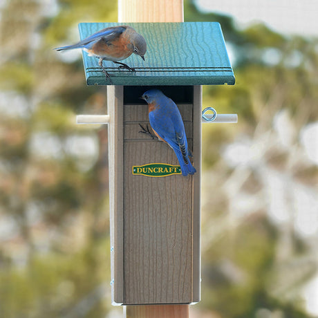 Duncraft Bird-Safe® Slotbox Peterson Bluebird House with a bluebird perched on its wooden surface, featuring lookout perches and a tapered nesting area.