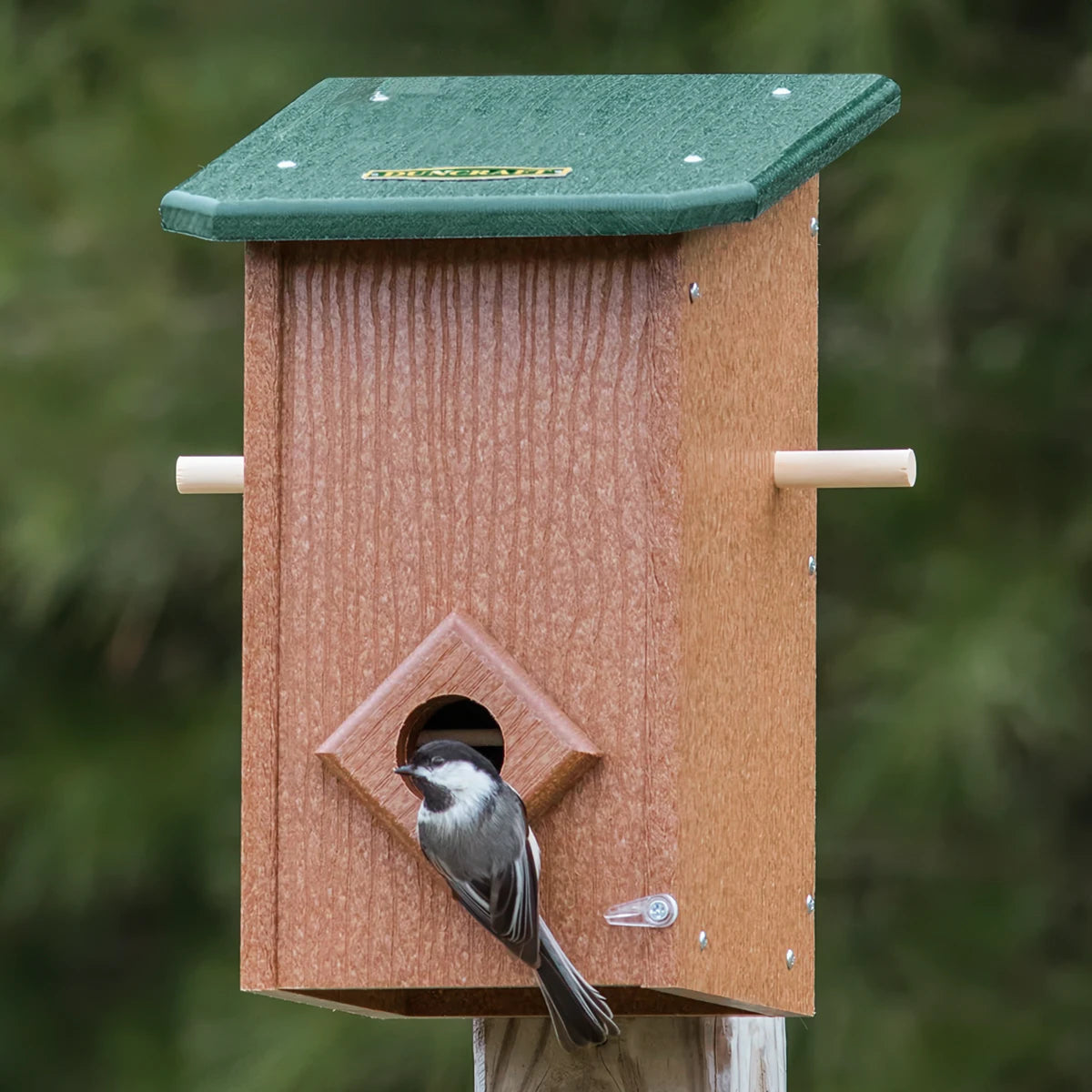 Duncraft Winter Roost with Lookout Perches mounted on a post, with a black-capped chickadee perched at the entrance, surrounded by blurred foliage.