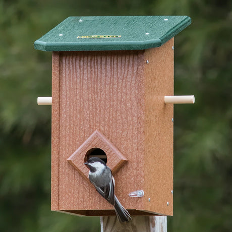 Duncraft Winter Roost with Lookout Perches mounted on a post, with a black-capped chickadee perched at the entrance, surrounded by blurred foliage.