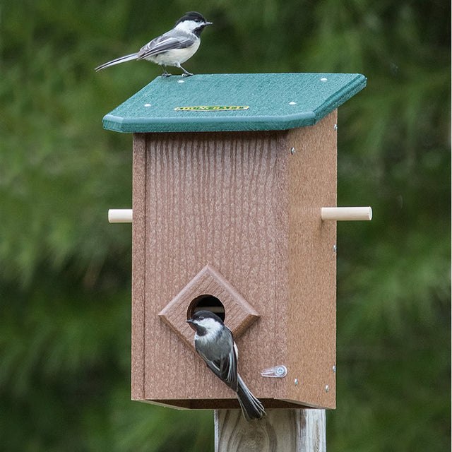 Duncraft Winter Roost with Lookout Perches featuring two birds on a birdhouse with wooden perches, designed to protect and shelter roosting birds.