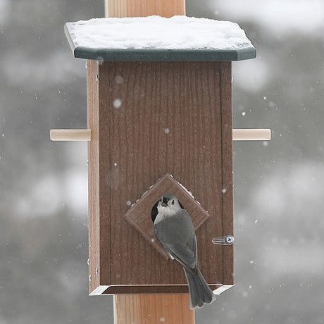 Duncraft Winter Roost with Lookout Perches featuring a bird on a wooden birdhouse, providing shelter and predator lookout perches for non-migrating birds.