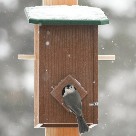 Duncraft Winter Roost with Lookout Perches, featuring a snowy roof, small bird at the entry, and a ladder for multiple birds to perch together.