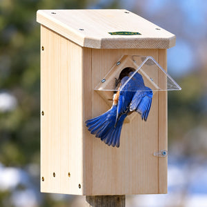 Duncraft Bluebird Winter Roost with Weather Guard on a post, featuring a bluebird at the entry, showcases predator and weather protection with a clear plastic guard.