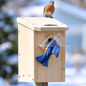 Duncraft Bluebird Winter Roost with Weather Guard on a post, featuring a bluebird at the entry and sitting on top of the house, showcases predator and weather protection with a clear plastic guard. Set in a winter background. 