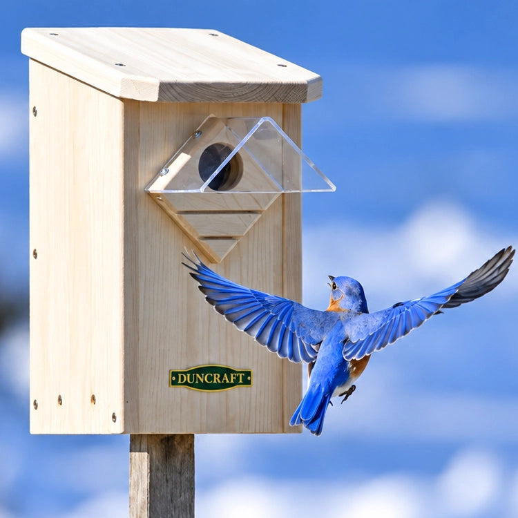 Duncraft Bluebird Winter Roost with Weather Guard on a post, featuring a bluebird flying to the entrance, showcases predator and weather protection with a clear plastic guard.