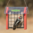 Duncraft Red Arrow Suet Shield Feeder with a woodpecker eating from the suet cake inside a protective stainless steel mesh insert.