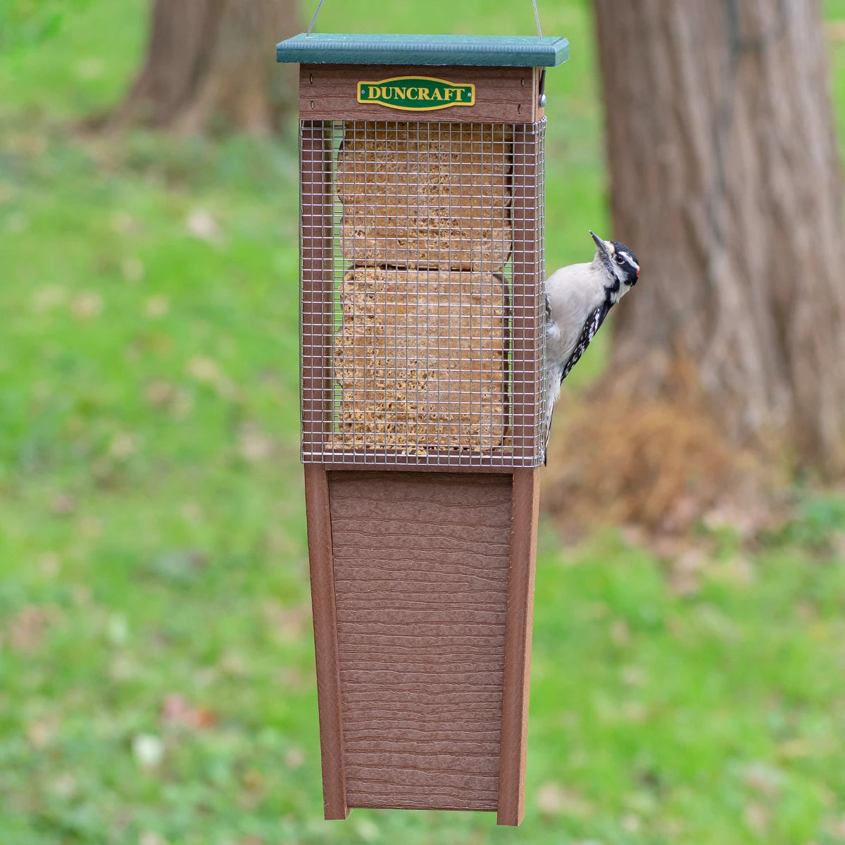 Pileated Woodpecker Suet Shield Wrap Feeder with mesh sides, featuring a woodpecker perched and feeding on a suet cake, designed to deter squirrels and large birds.